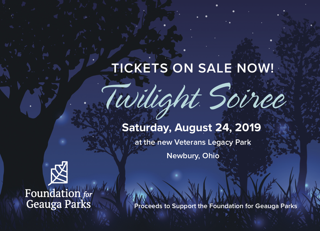 Twilight Soiree